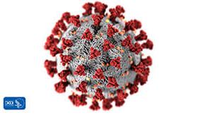 CDC Coronavirus